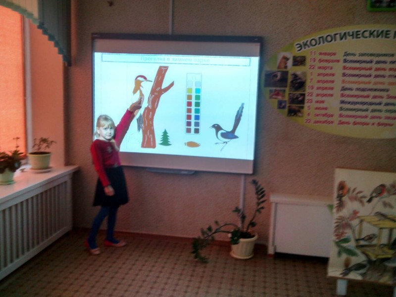 птицы
