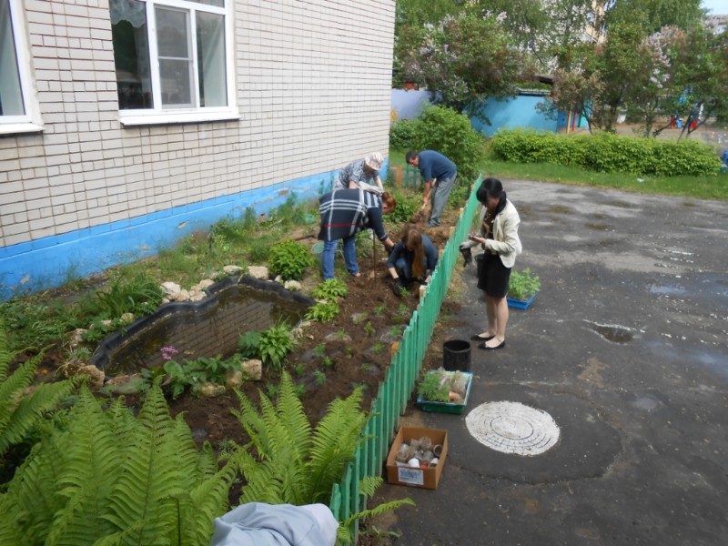 акция