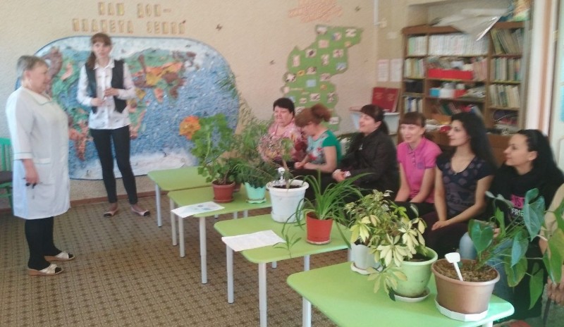 здоровье