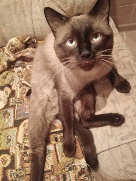 Семен