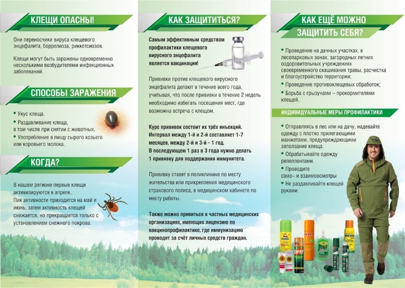 прививки